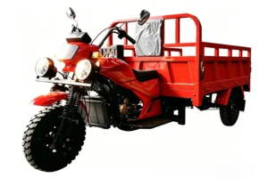 model 250zh 6c three wheeled motorcycle